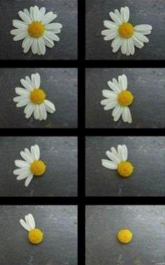 ??AIMER??